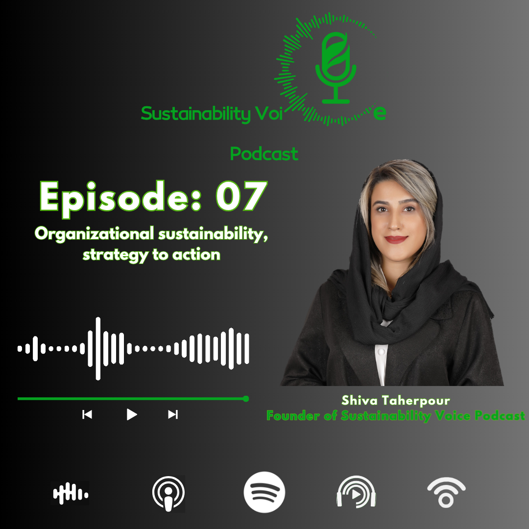 اپیزود هفتم، پایداری سازمانی، از استراتژی تا اقدام